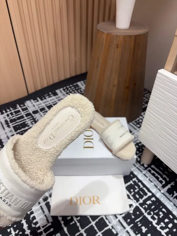 Dior Shoe 